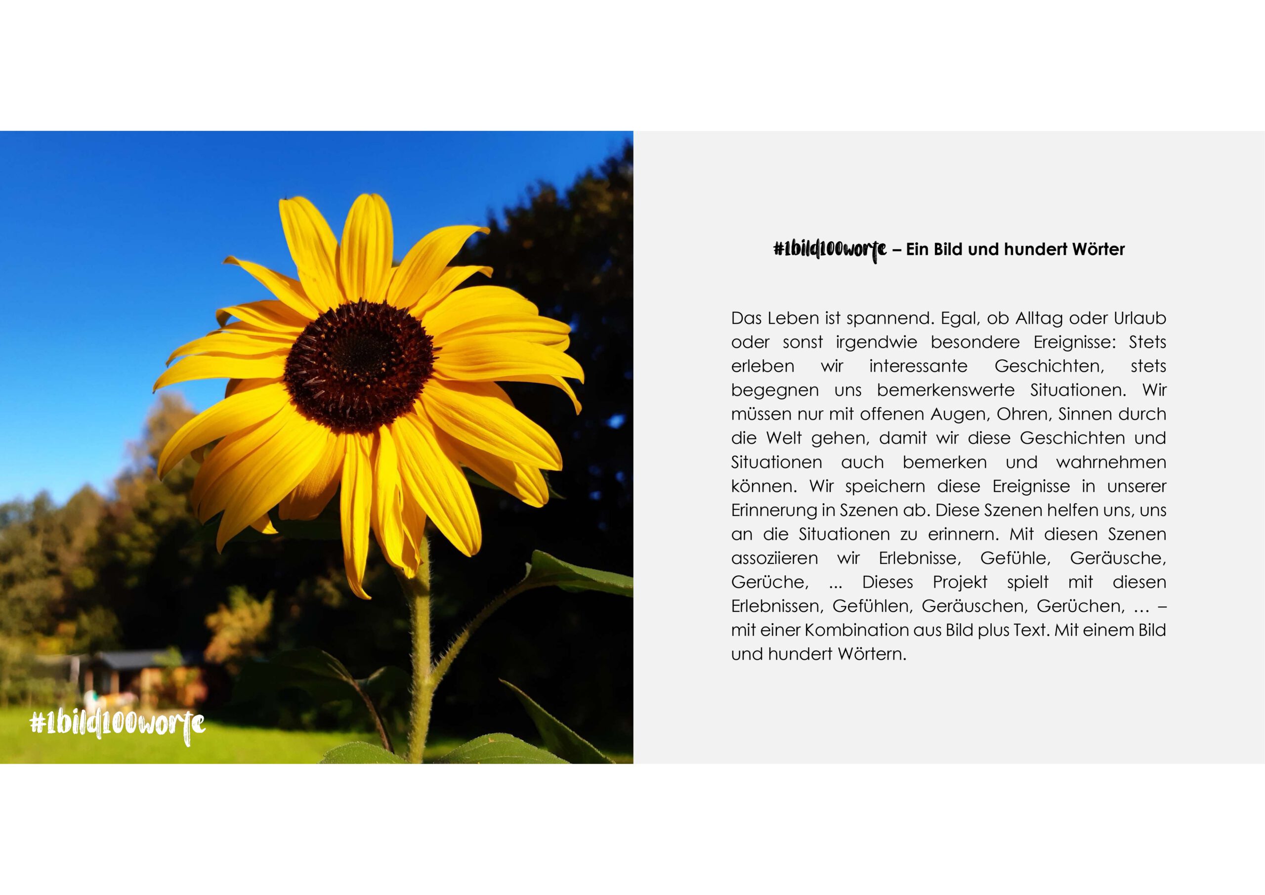 Das Leben ist spannend. Egal, ob Alltag oder Urlaub oder sonst irgendwie besondere Ereignisse: Stets erleben wir interessante Geschichten, stets begegnen uns bemerkenswerte Situationen. Wir müssen nur mit offenen Augen, Ohren, Sinnen durch die Welt gehen, damit wir diese Geschichten und Situationen auch bemerken und wahrnehmen können. Wir speichern diese Ereignisse in unserer Erinnerung in Szenen ab. Diese Szenen helfen uns, uns an die Situationen zu erinnern. Mit diesen Szenen assoziieren wir Erlebnisse, Gefühle, Geräusche, Gerüche, ... Dieses Projekt spielt mit diesen Erlebnissen, Gefühlen, Geräuschen, Gerüchen, … – mit einer Kombination aus Bild plus Text. Mit einem Bild und hundert Worten.